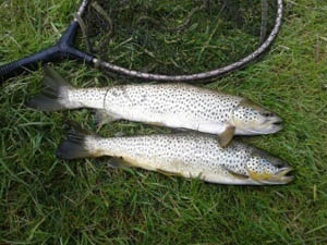 Castle Fisheries a good catch