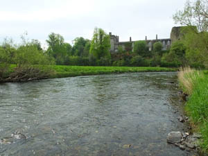 Castle Fisheries The River Derwent