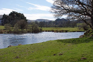Castle Fisheries The River Derwent
