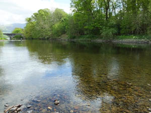 Castle Fisheries The River Derwent