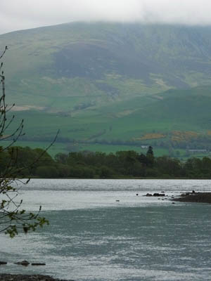 Castle Fisheries The River Derwent 