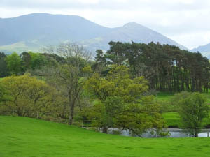 Castle Fisheries The River Derwent 