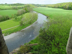 Castle Fisheries The River Derwent Cockermouth