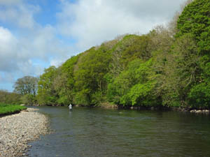 Castle Fisheries The River Derwent