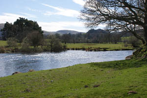 Castle Fisheries The River Derwent