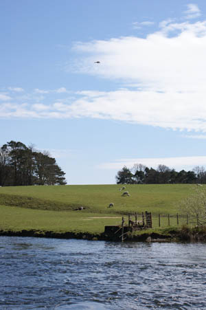Castle Fisheries The River Derwent and unrivalled natural beauty