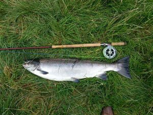 Castle Fisheries The River Derwent